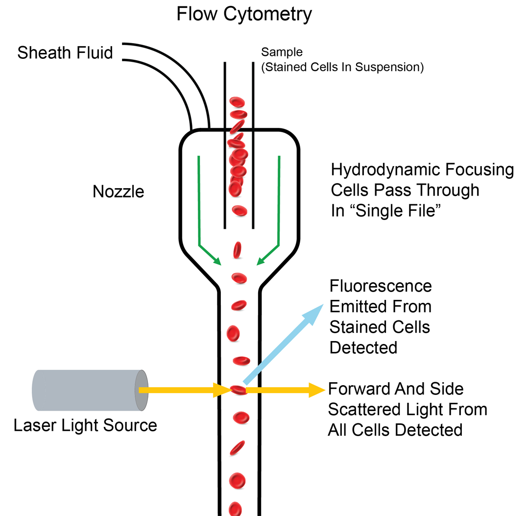 how-to-control-pressure-in-flow-cytometry-applications